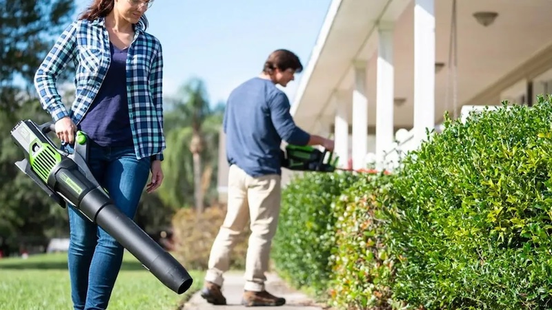 Best Electric Leaf Blower with reviews in 2023